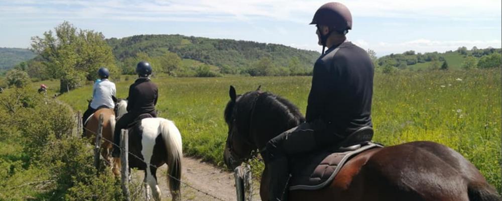 Renovate a meeting room in a horse riding center! (Frankreich)